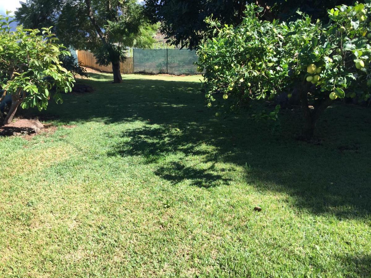 Casitas Las Uvas Y Las Vinas Los Realejos Buitenkant foto